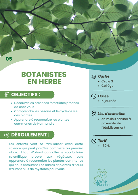 Aperçu de la fiche « Botanistes en herbe »