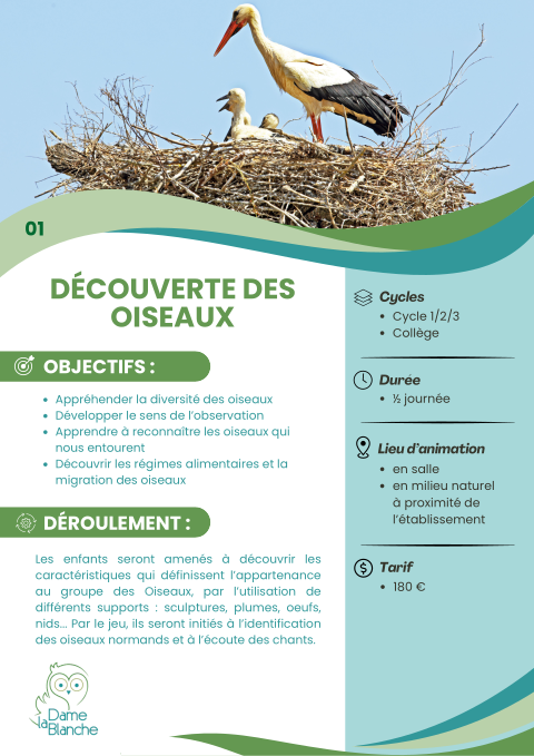 Aperçu de la fiche « Découverte des oiseaux »